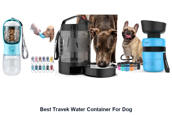 Best Travek Water Container For Dog