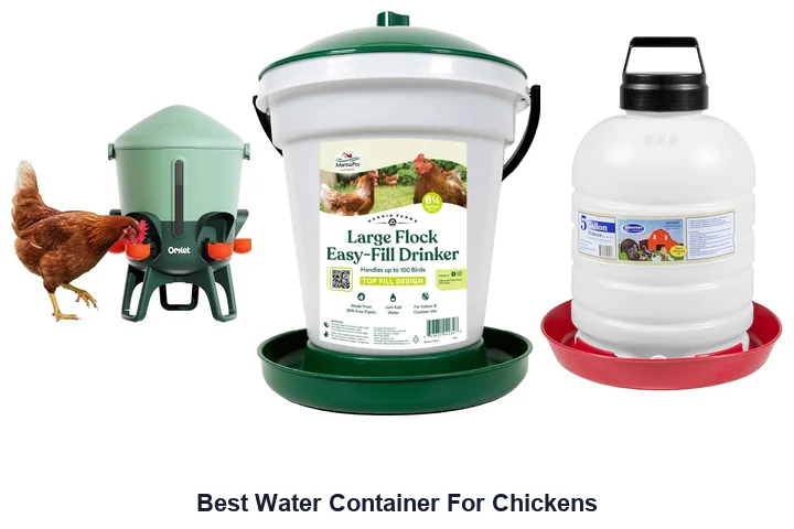 Best Water Container For Chickens