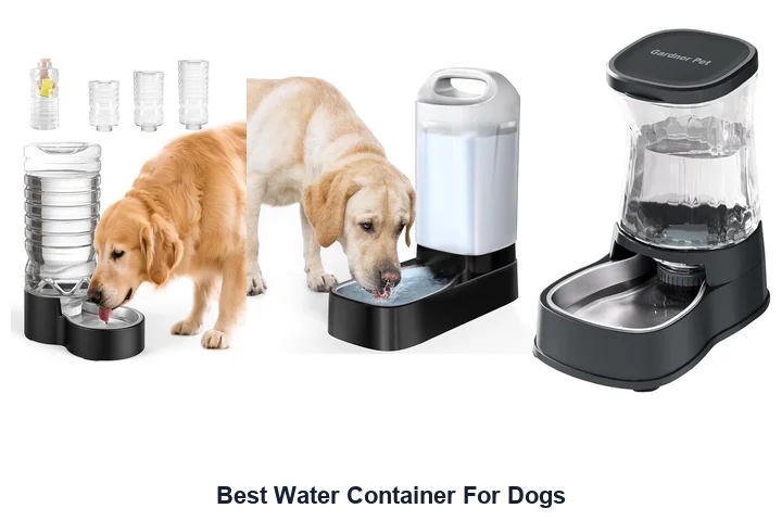 Best Water Container For Dogs