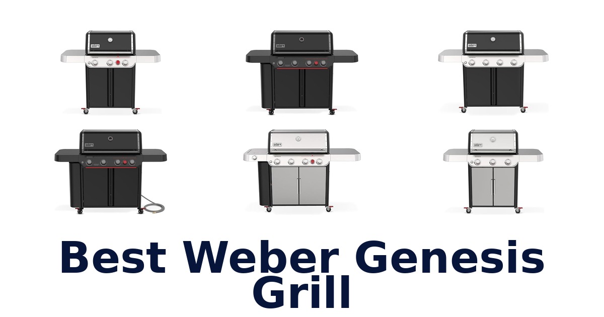 best weber genesis grill