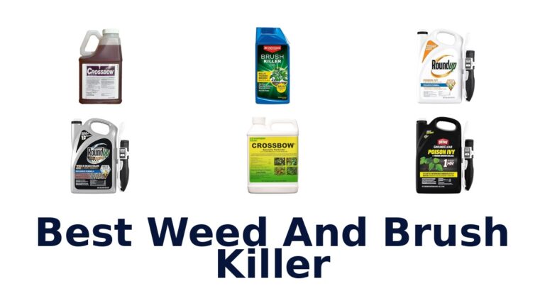 best weed and brush killer