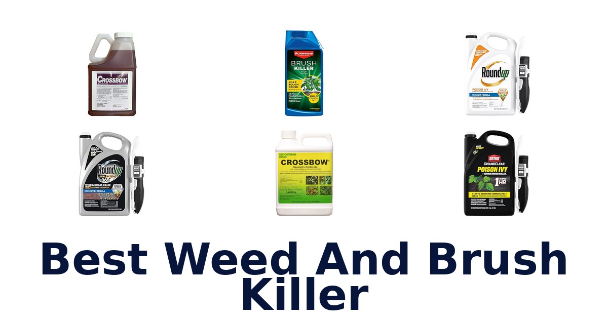 best weed and brush killer