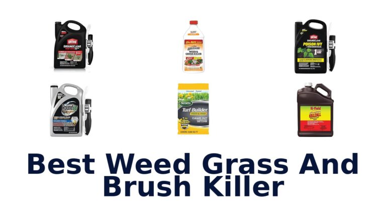 best weed grass and brush killer