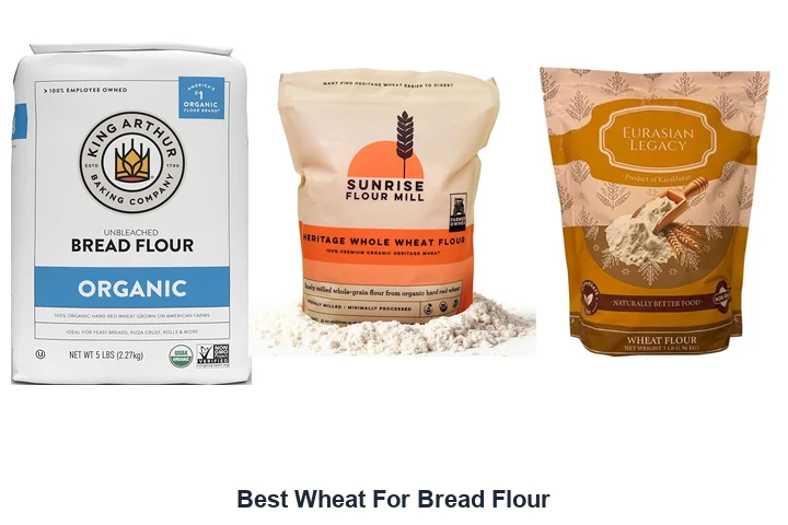 Best Wheat For Bread Flour