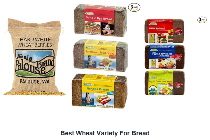 Best Wheat Variety For Bread