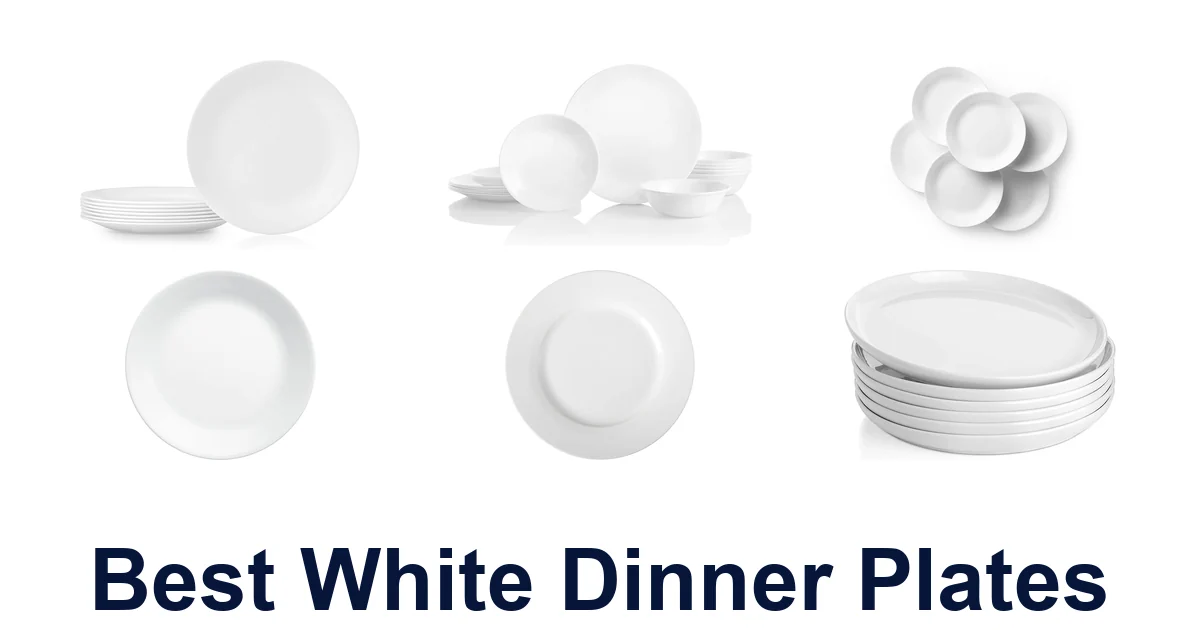 best white dinner plates