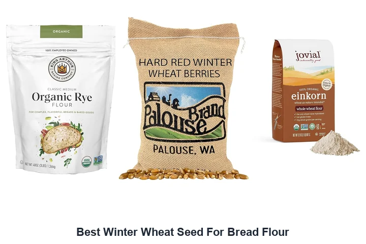Best Winter Wheat Seed For Bread Flour