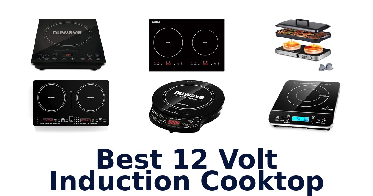 best 12 volt induction cooktop