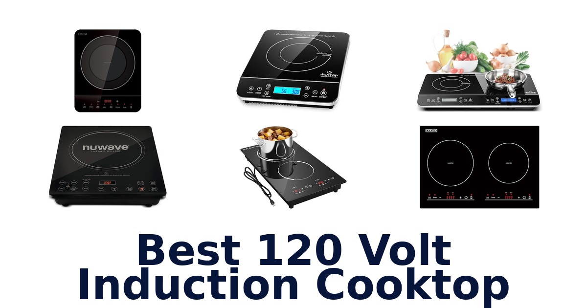best 120 volt induction cooktop