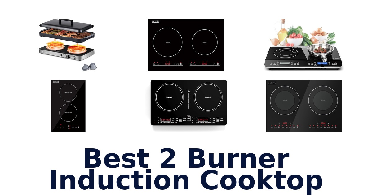 best 2 burner induction cooktop