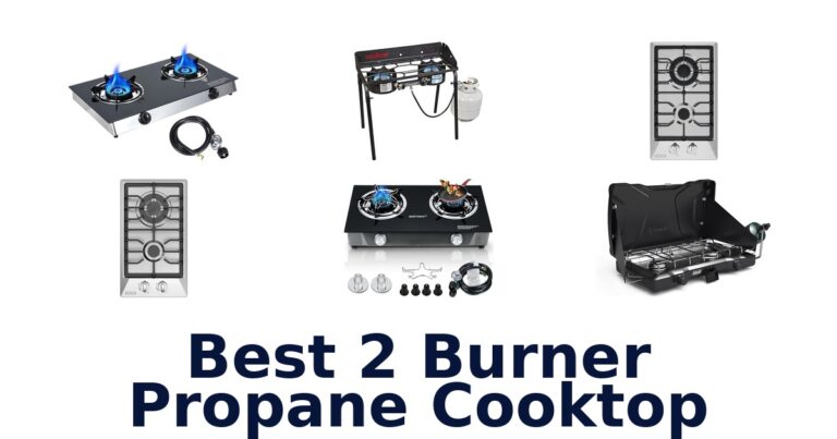 best 2 burner propane cooktop