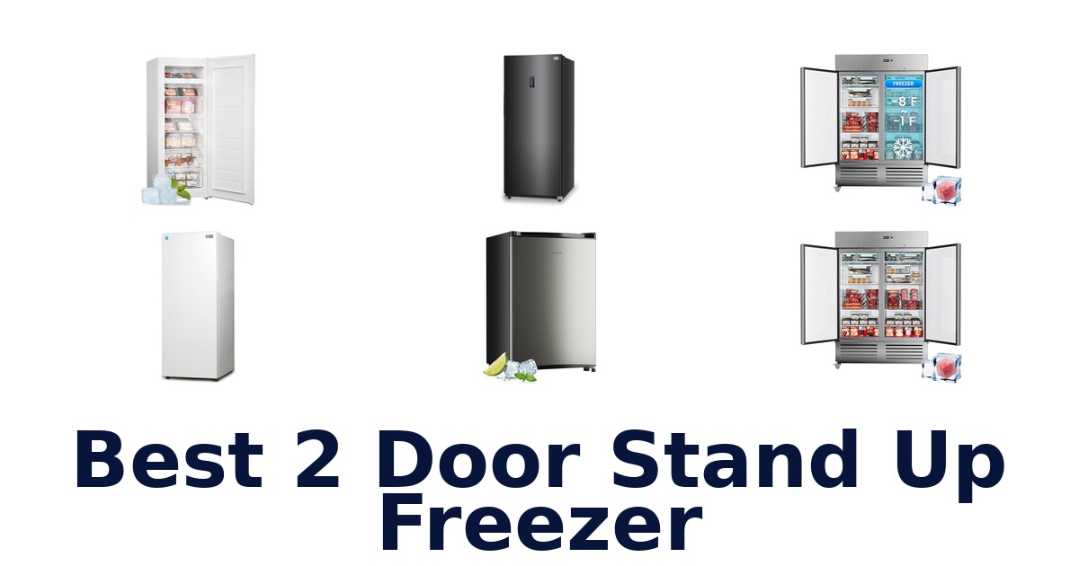 best 2 door stand up freezer