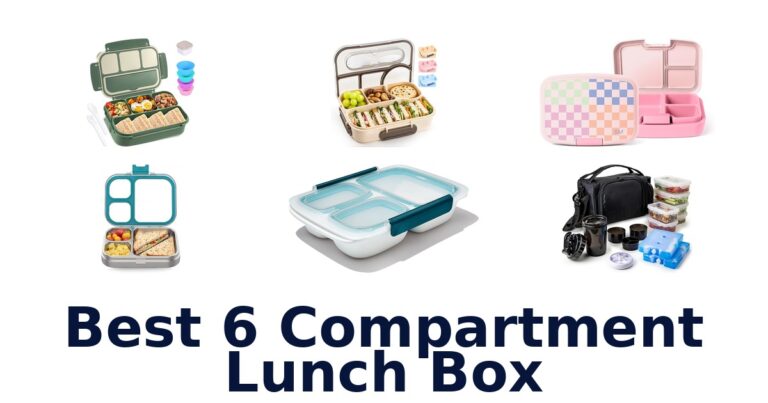 best 6 compartment lunch box