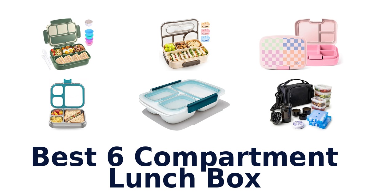 best 6 compartment lunch box