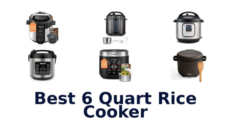 best 6 quart rice cooker