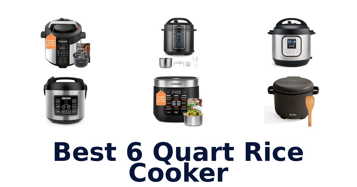 best 6 quart rice cooker