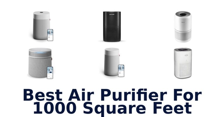 best air purifier for 1000 square feet