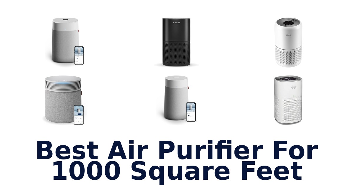 best air purifier for 1000 square feet