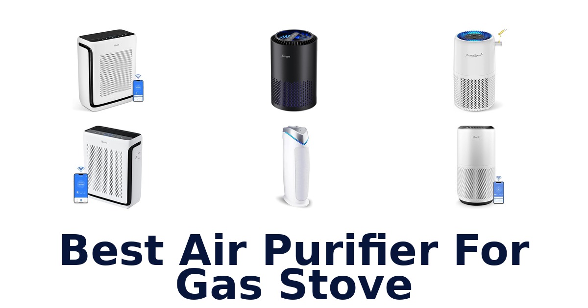 best air purifier for gas stove