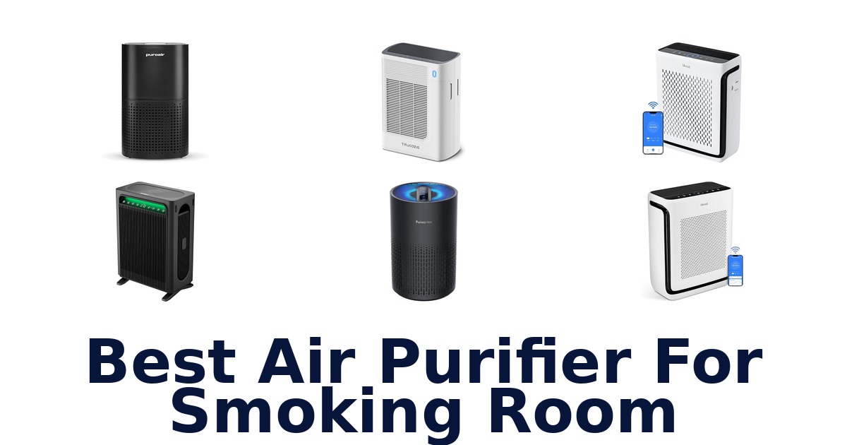 best air purifier for smoking room