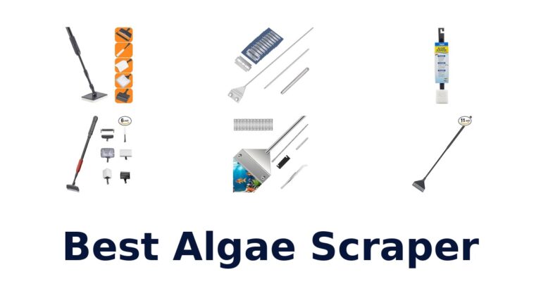 best algae scraper
