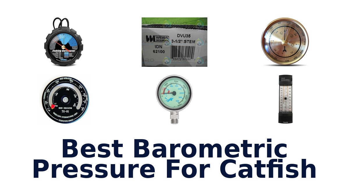 best barometric pressure for catfish