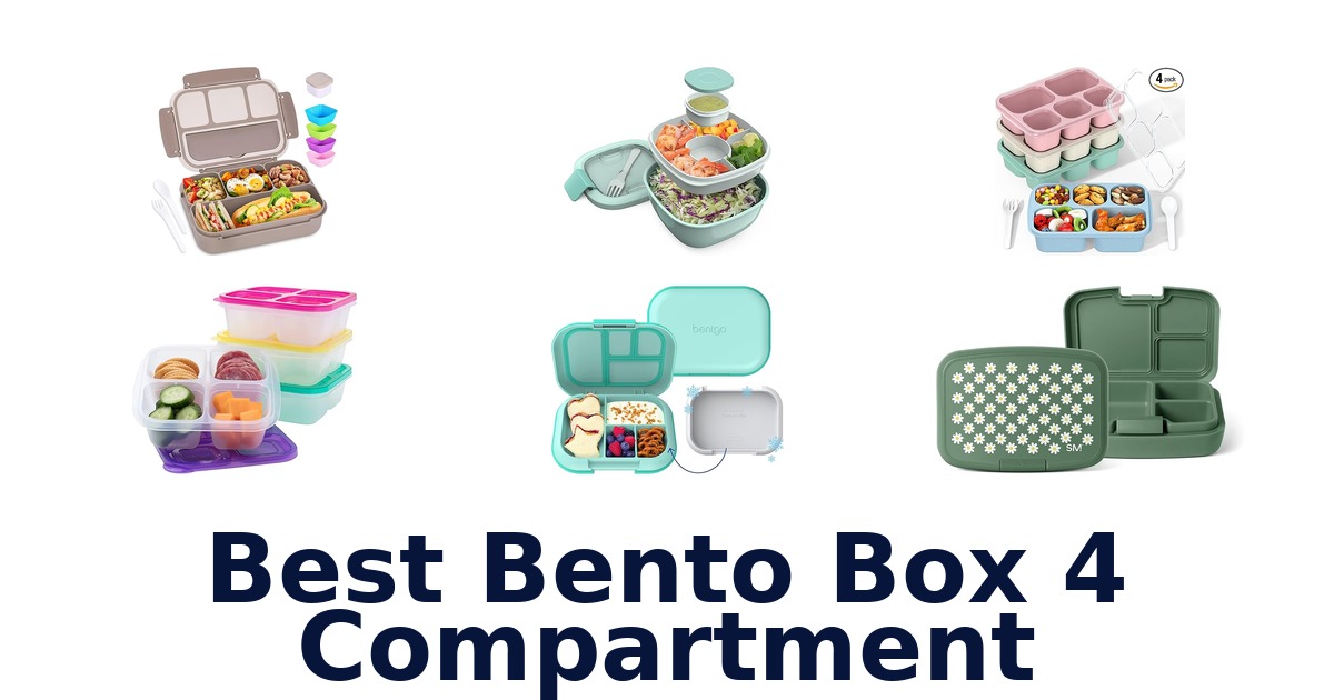 best bento box 4 compartment