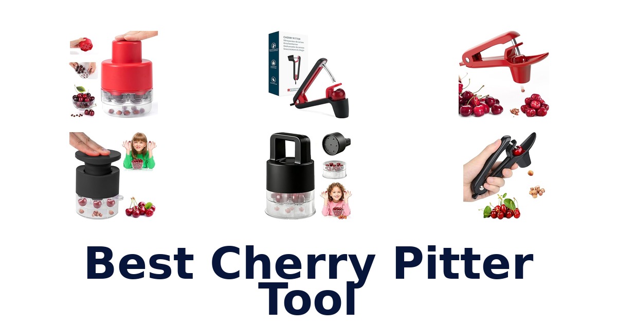 best cherry pitter tool
