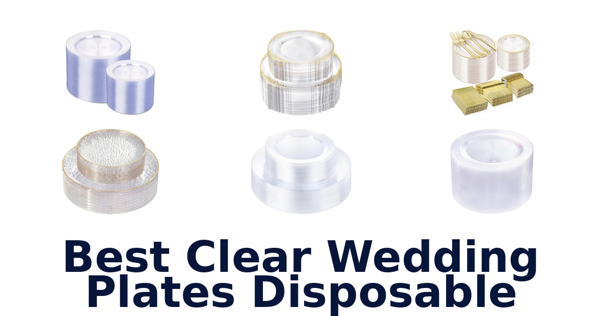 best clear wedding plates disposable