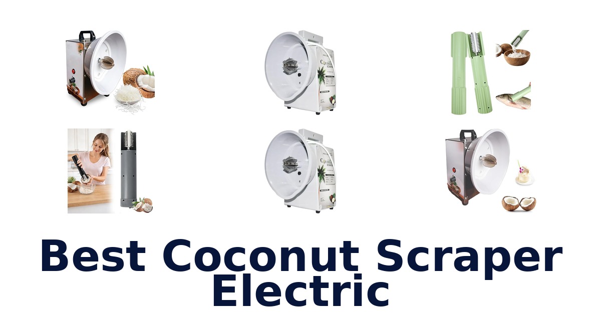 best coconut scraper electric
