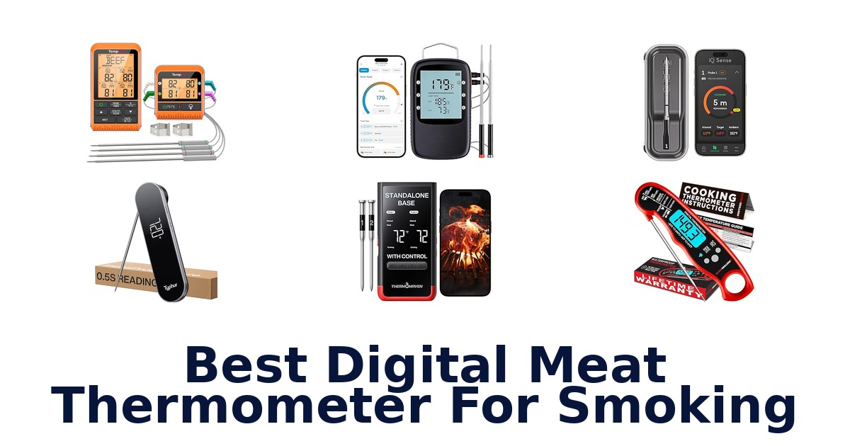best digital meat thermometer for smoking