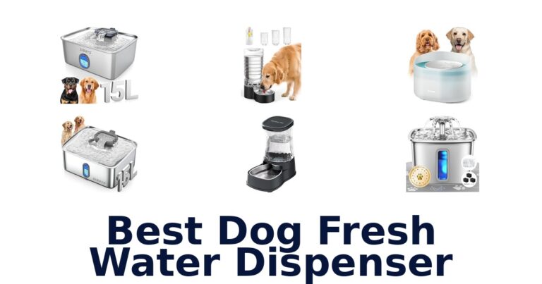 best dog fresh water dispenser