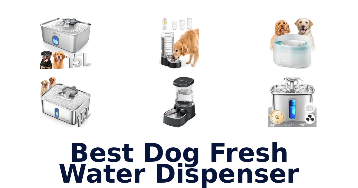 best dog fresh water dispenser