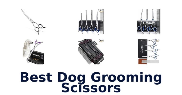 best dog grooming scissors