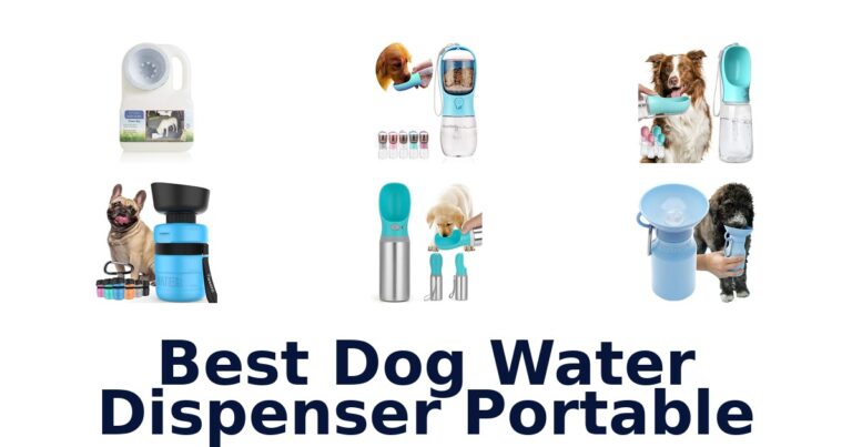 best dog water dispenser portable