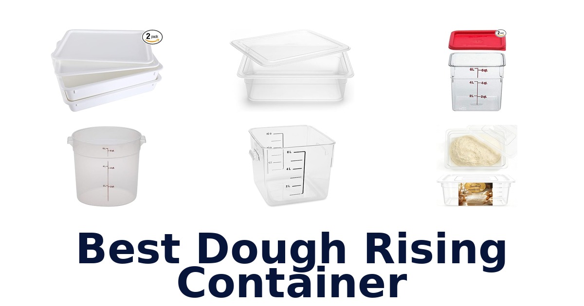 best dough rising container