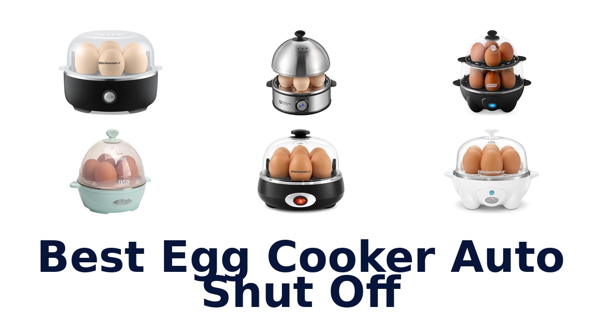 best egg cooker auto shut off