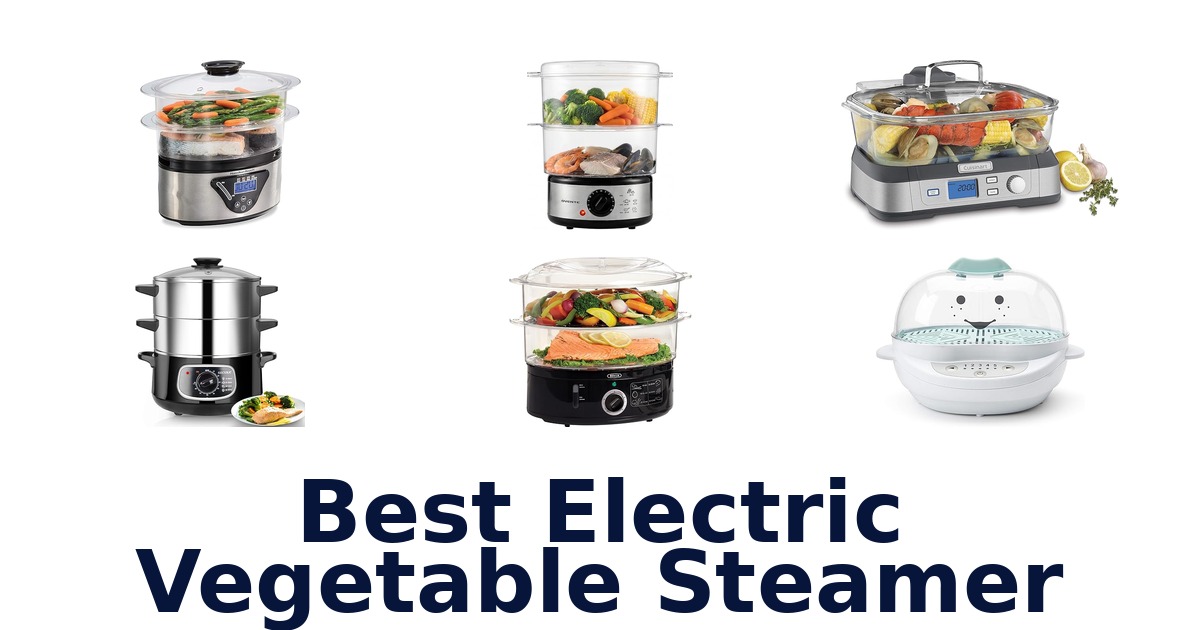 best electric vegetable steamer