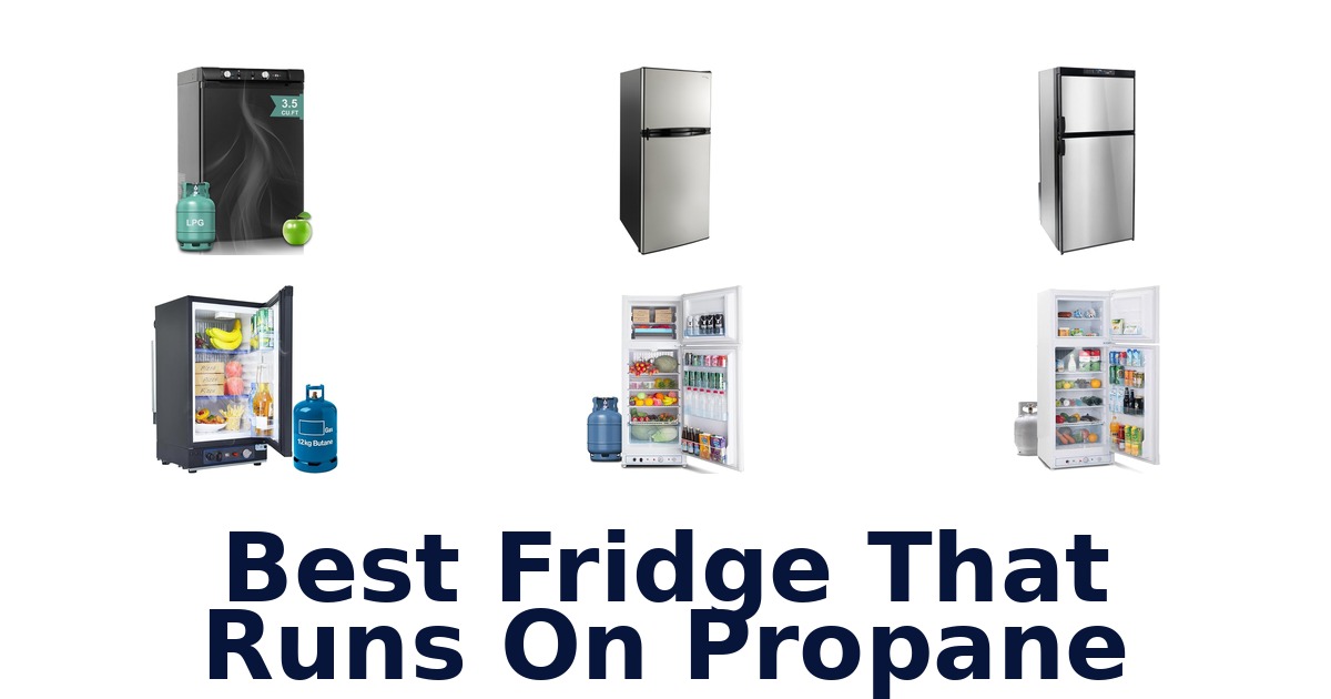 best fridge that runs on propane