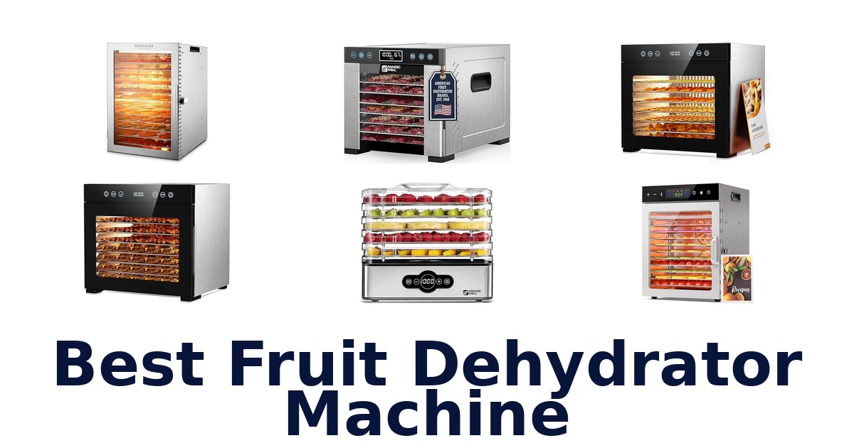 best fruit dehydrator machine