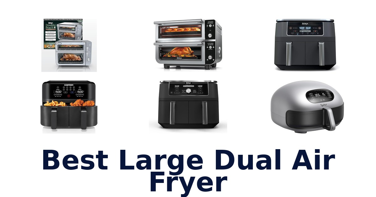 best large dual air fryer