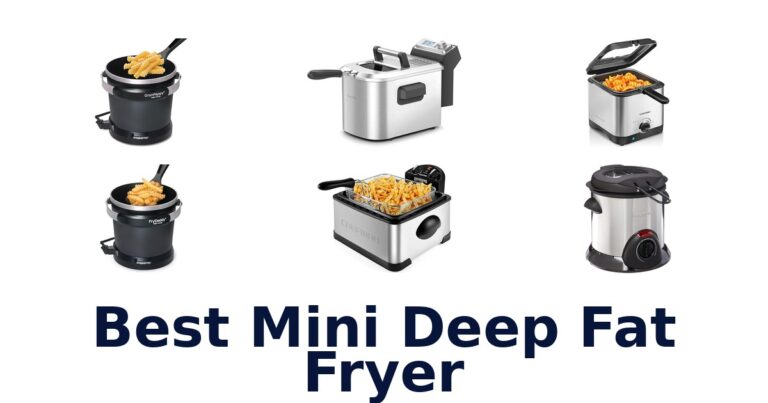 best mini deep fat fryer