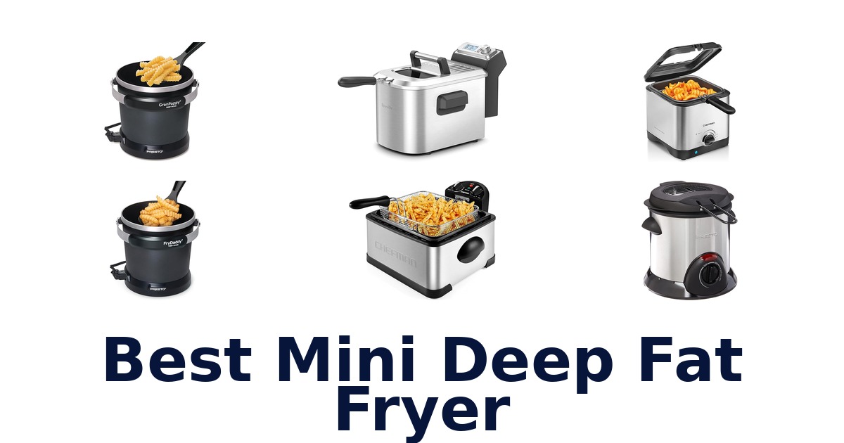 best mini deep fat fryer