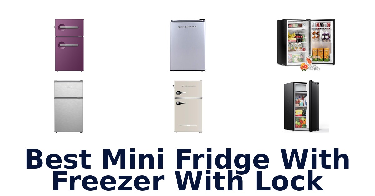 best mini fridge with freezer with lock