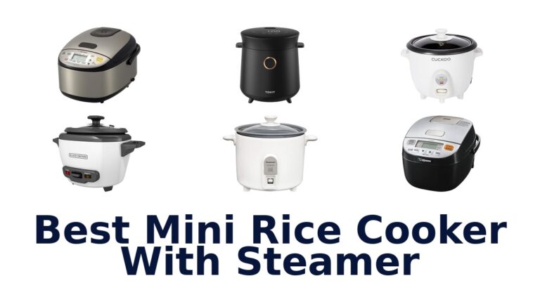 best mini rice cooker with steamer