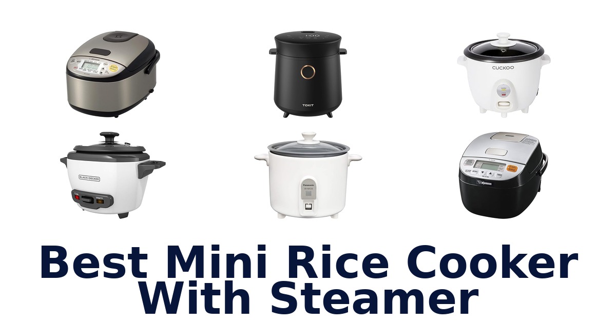 best mini rice cooker with steamer
