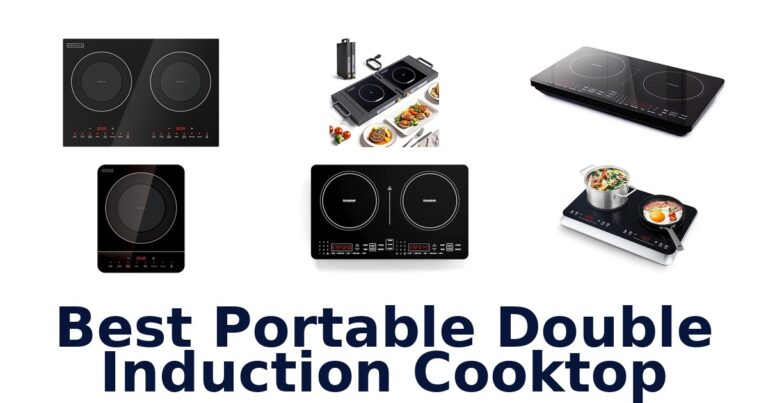 best portable double induction cooktop