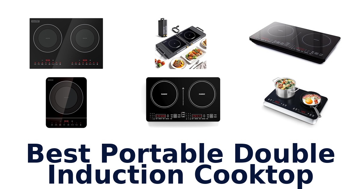 best portable double induction cooktop