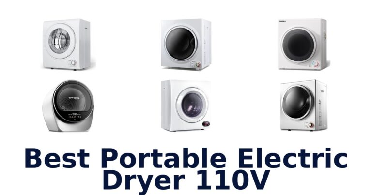 best portable electric dryer 110v