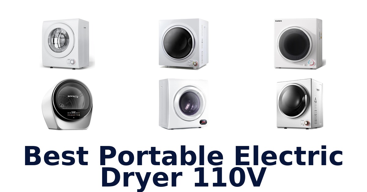 best portable electric dryer 110v
